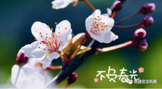 每一個(gè)春天都會(huì)如約而至，南通佳寶與您同在